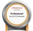 Oracle Certified Professional Java SE Developer